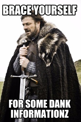 brace-yourself-for-some-dank-informationz
