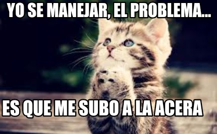 yo-se-manejar-el-problema...-es-que-me-subo-a-la-acera
