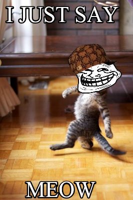 i-just-say-meow