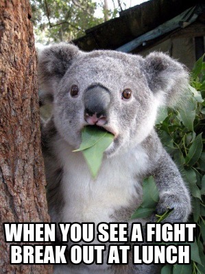 when-you-see-a-fight-break-out-at-lunch