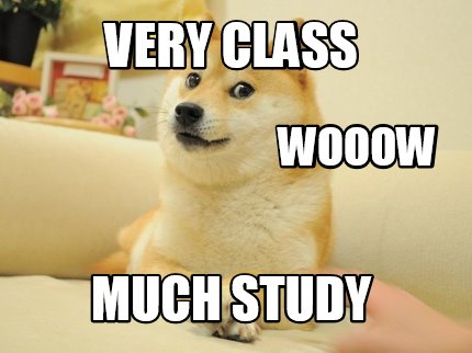 very-class-much-study-wooow