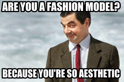 are-you-a-fashion-model-because-youre-so-aesthetic