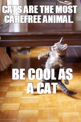 cats-are-the-most-carefree-animal.-be-cool-as-a-cat