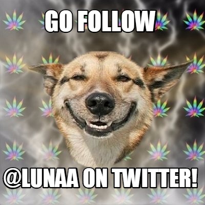 go-follow-lunaa-on-twitter