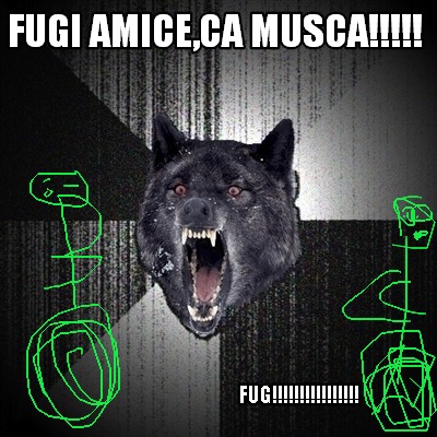 fugi-amiceca-musca-fug