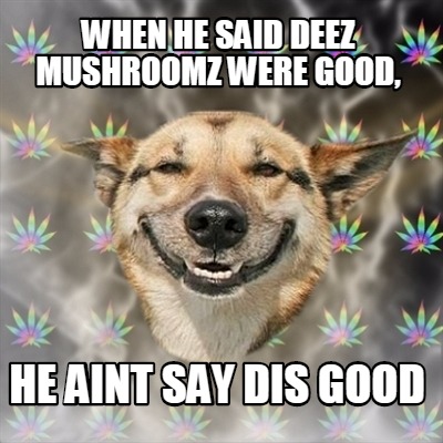 when-he-said-deez-mushroomz-were-good-he-aint-say-dis-good