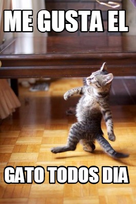 me-gusta-el-gato-todos-dia