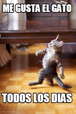 me-gusta-el-gato-todos-los-dias