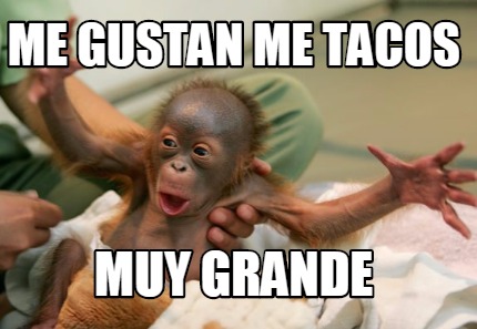 me-gustan-me-tacos-muy-grande