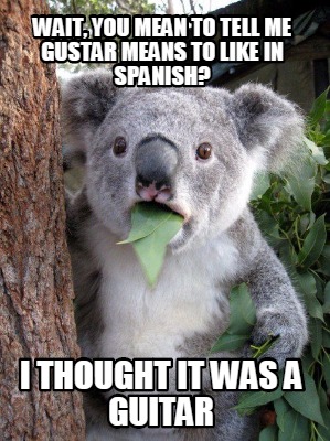 wait-you-mean-to-tell-me-gustar-means-to-like-in-spanish-i-thought-it-was-a-guit