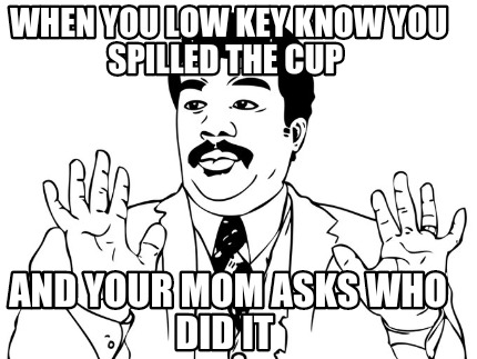 when-you-low-key-know-you-spilled-the-cup-and-your-mom-asks-who-did-it