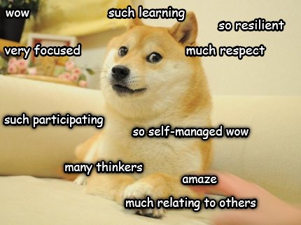 wow-such-learning-so-resilient-very-focused-much-respect-such-participating-so-s