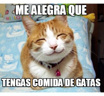 me-alegra-que-tengas-comida-de-gatas