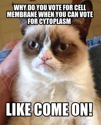 why-do-you-vote-for-cell-membrane-when-you-can-vote-for-cytoplasm-like-come-on