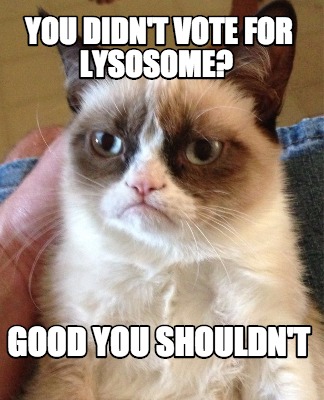 you-didnt-vote-for-lysosome-good-you-shouldnt