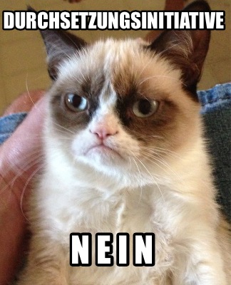 durchsetzungsinitiative-n-e-i-n