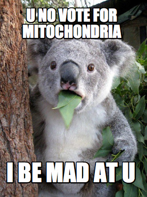 u-no-vote-for-mitochondria-i-be-mad-at-u