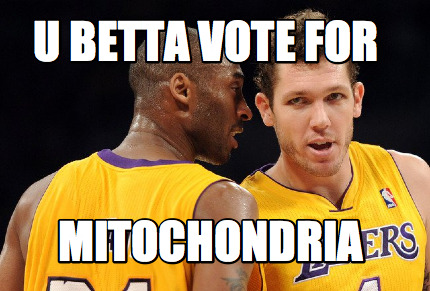 u-betta-vote-for-mitochondria