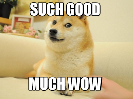 such-good-much-wow