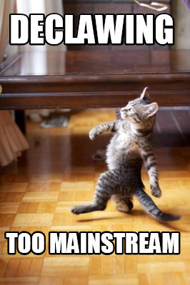 declawing-too-mainstream