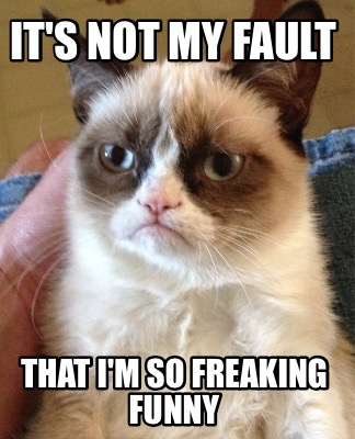 its-not-my-fault-that-im-so-freaking-funny