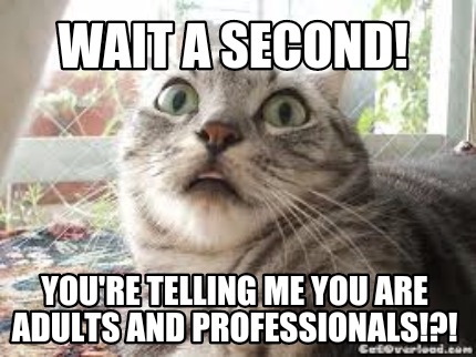 wait-a-second-youre-telling-me-you-are-adults-and-professionals