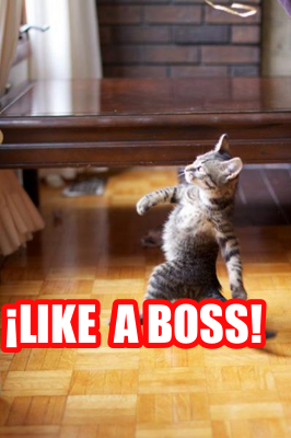like-a-boss76