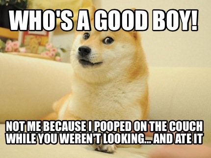whos-a-good-boy-not-me-because-i-pooped-on-the-couch-while-you-werent-looking...