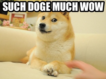 such-doge-much-wow