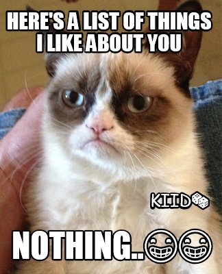 heres-a-list-of-things-i-like-about-you-nothing..-kiid1