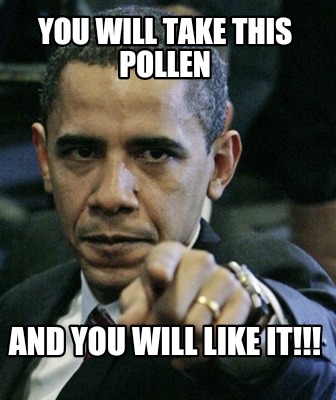 you-will-take-this-pollen-and-you-will-like-it