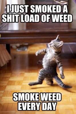 i-just-smoked-a-shit-load-of-weed-smoke-weed-every-day