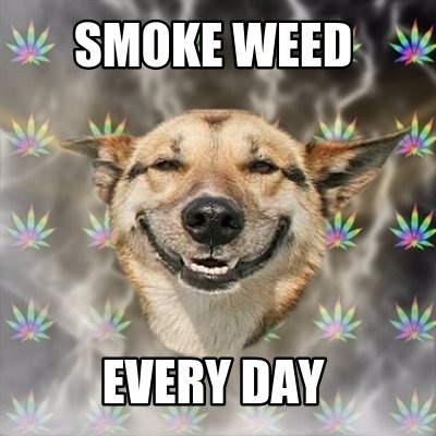 smoke-weed-every-day5