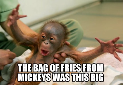 the-bag-of-fries-from-mickeys-was-this-big