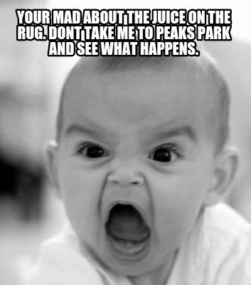 your-mad-about-the-juice-on-the-rug.-dont-take-me-to-peaks-park-and-see-what-hap