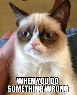 when-you-do-something-wrong