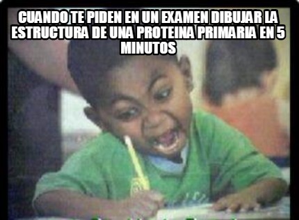 cuando-te-piden-en-un-examen-dibujar-la-estructura-de-una-proteina-primaria-en-5