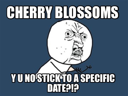cherry-blossoms-y-u-no-stick-to-a-specific-date