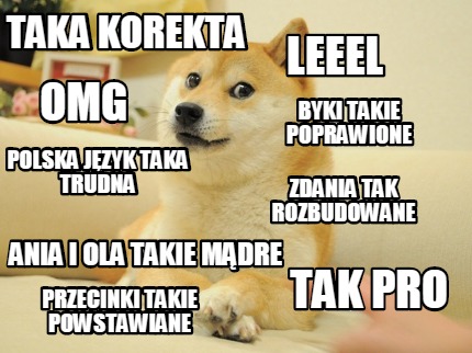 taka-korekta-tak-pro-byki-takie-poprawione-omg-zdania-tak-rozbudowane-leeel-prze