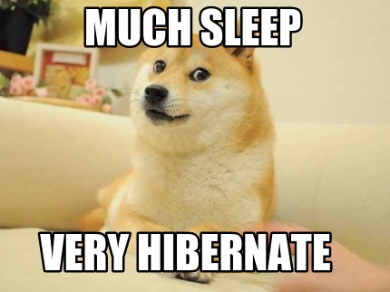 much-sleep-very-hibernate