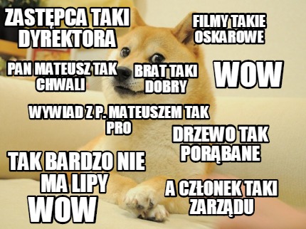 zastpca-taki-dyrektora-filmy-takie-oskarowe-pan-mateusz-tak-chwali-wow-a-czonek-
