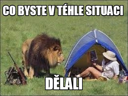 co-byste-v-thle-situaci-dlali