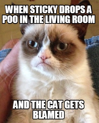 when-sticky-drops-a-poo-in-the-living-room-and-the-cat-gets-blamed