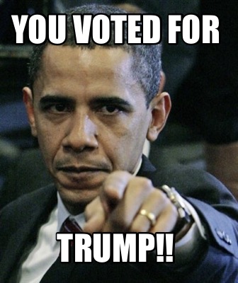 you-voted-for-trump