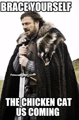 brace-yourself-the-chicken-cat-us-coming