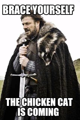 brace-yourself-the-chicken-cat-is-coming