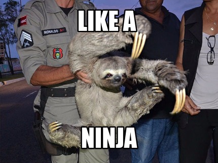 like-a-ninja