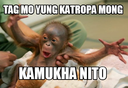 tag-mo-yung-katropa-mong-kamukha-nito