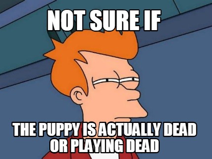 not-sure-if-the-puppy-is-actually-dead-or-playing-dead