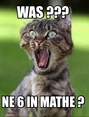 was-ne-6-in-mathe-